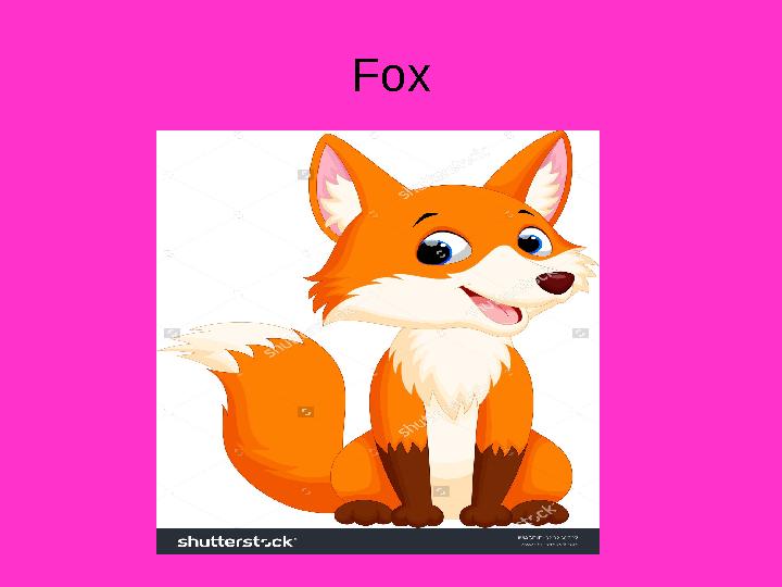 Fox