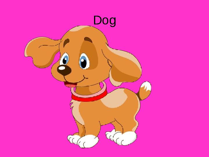 Dog