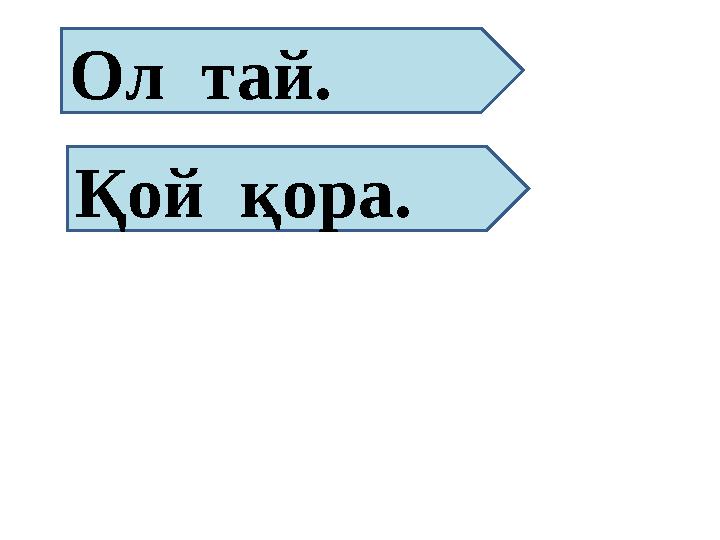 Ол тай. Қой қора.