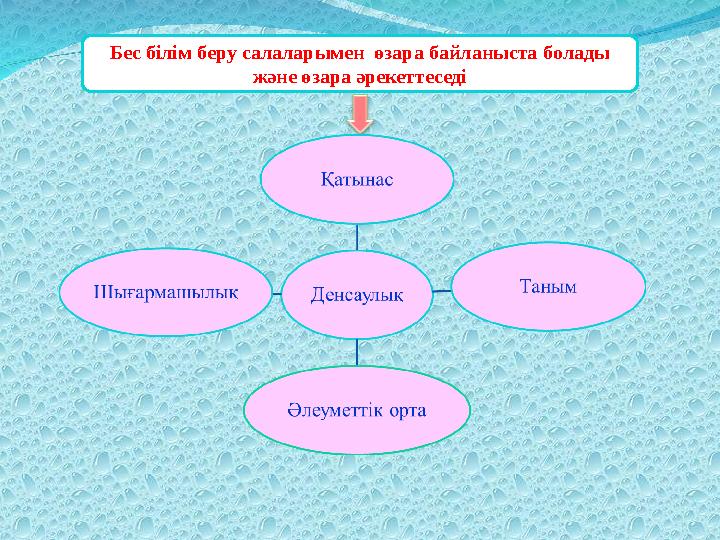 Бес білім беру салаларымен өзара байланыста болады және өзара әрекеттеседі