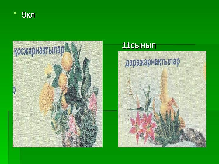 99кл кл