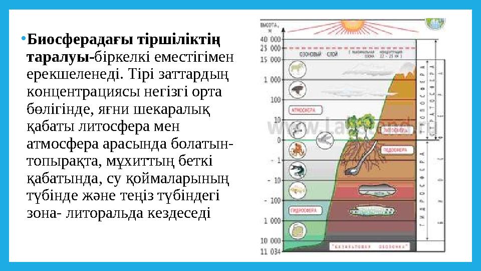 Сахналанған порно видео HD форматында