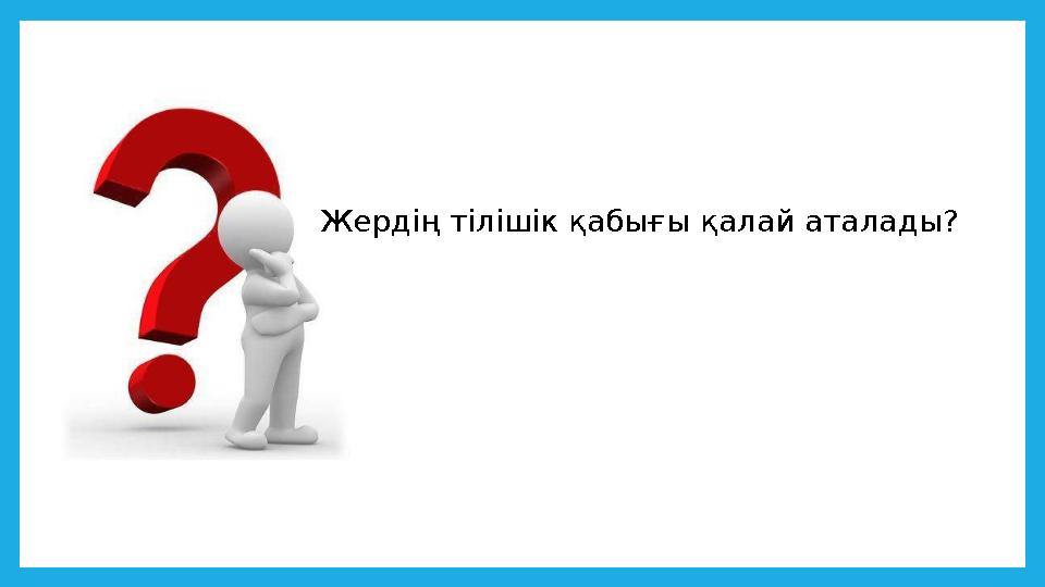 Жердің тілішік қабығы қалай аталады?