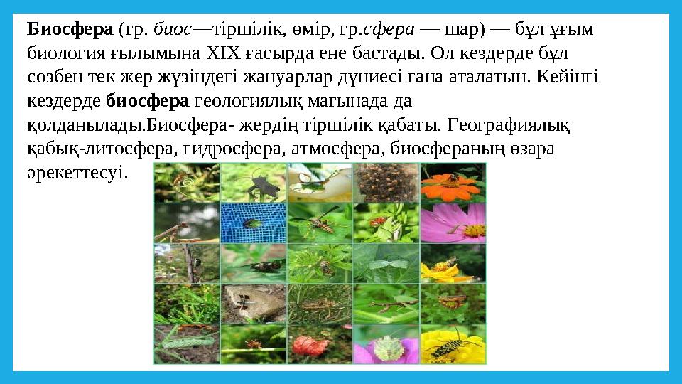 Биосфера (гр. биос—тіршілік, өмір, гр.сфера — шар) — бұл ұғым биология ғылымына XIX ғасырда ене бастады. Ол кездерде бұл сөзбе
