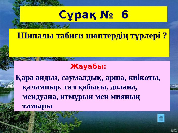 Сұрақ № 6 Шипалы табиғи шөптердің түрлері ? Жауабы: Қара андыз, саумалдық, арша, киікоты, қалампыр, тал қабығы, долана,