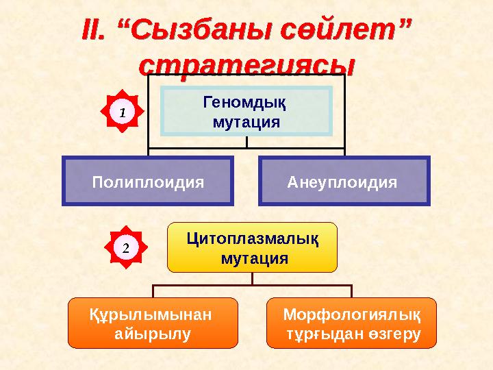 ІІ. “Сызбаны сөйлет” стратегиясы ІІ. “Сызбаны сөйлет” стратегиясы Геномдық мутация Полиплоидия Анеуплоидия Цитоплазмалық