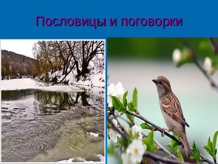 Пословицы и поговоркиПословицы и поговорки