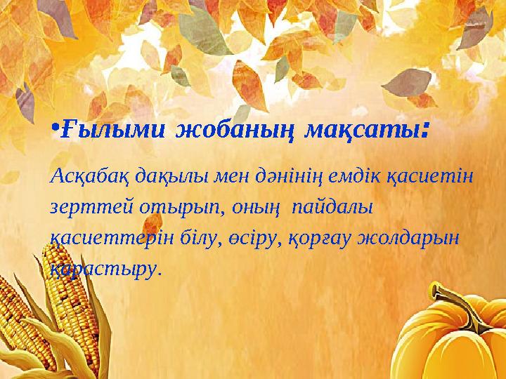 •Ғылыми жобаның мақсаты: Асқабақ дақылы мен дәнінің емдік қасиетін зерттей отырып, оның пайдалы қасиеттерін білу, өсіру, қор
