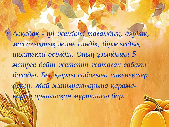 •Асқабақ - ірі жемісті тағамдық, дәрілік, мал азықтық және сәндік, біржылдық шөптекті өсімдік. Оның ұзындығы 5 метрге дейін ж