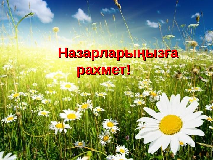 Назарларыңызға Назарларыңызға рахметрахмет !!