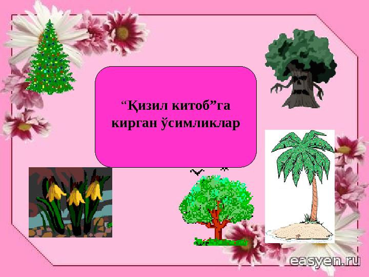 “Қизил китоб”га кирган ўсимликлар