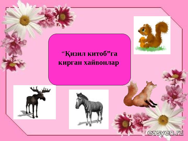 “Қизил китоб”га кирган хайвонлар