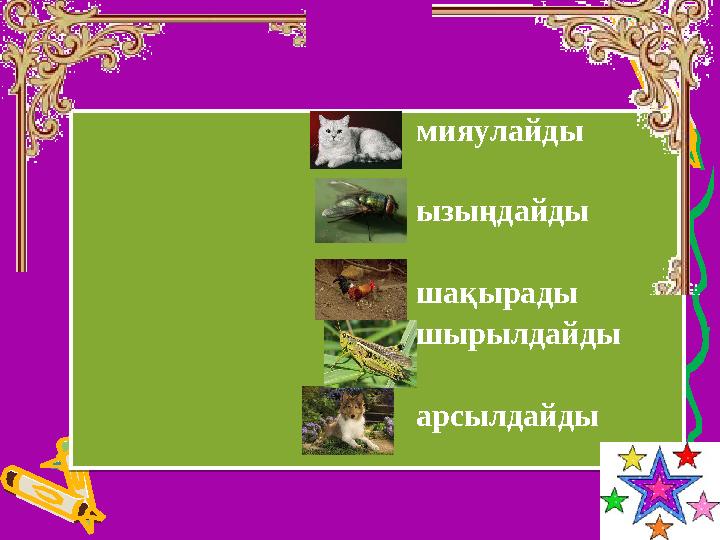 мияулайды ызыңдайды