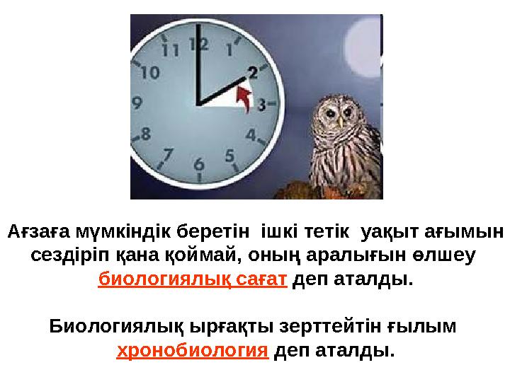 Ағзаға мүмкіндік беретін ішкі тетік уақыт ағымын сездіріп қана қоймай, оның аралығын өлшеу биологиялық сағат деп аталды. Би