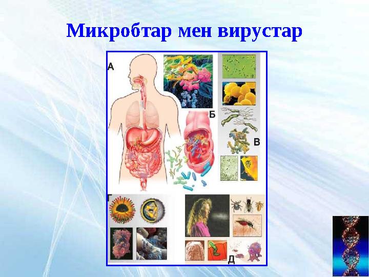 Микробтар мен вирустар