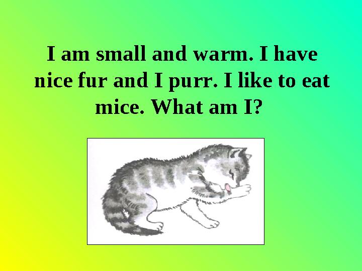 I am small and warm. I have nice fur and I purr. I like to eat mice. What am I?