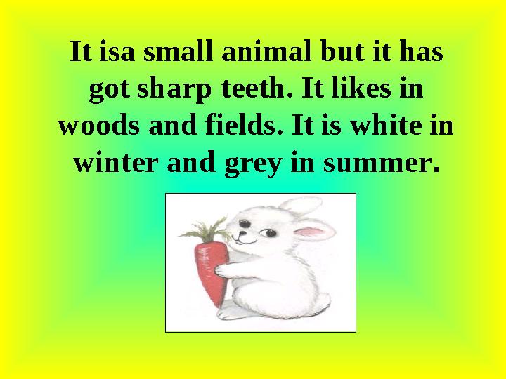 It isa small animal but it has got sharp teeth. It likes in woods and fields. It is white in winter and grey in summer.