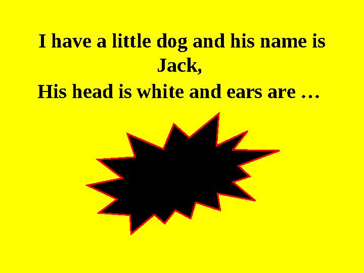 I have a little dog and his name is Jack, His head is white and ears are …