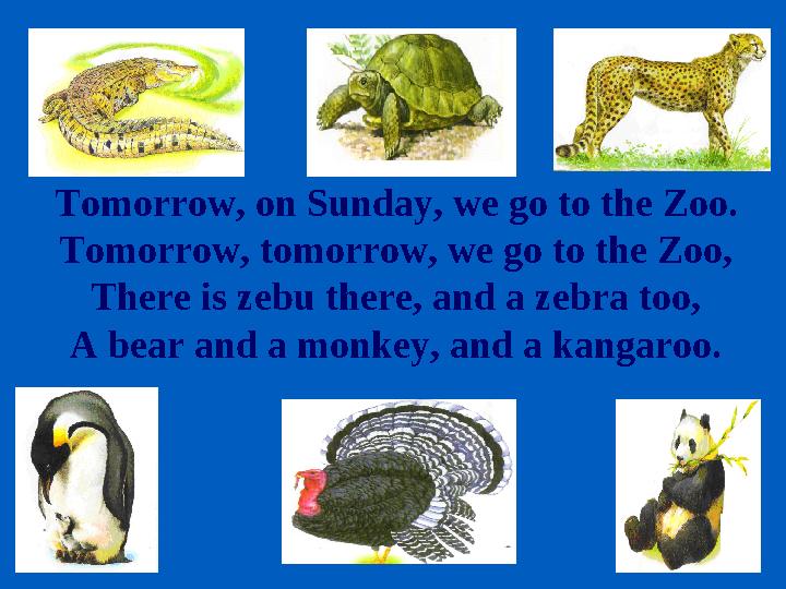 Tomorrow, on Sunday, we go to the Zoo. Tomorrow, tomorrow, we go to the Zoo, There is zebu there, and a zebra too, A bear and a