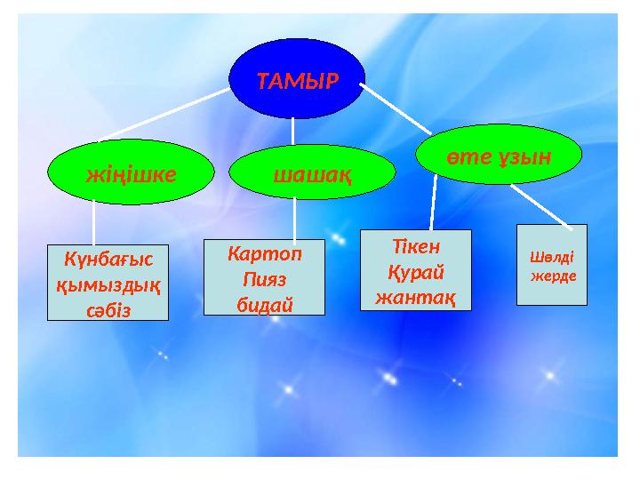 ТАМЫР жіңішке шашақ өте ұзын Күнбағыс қымыздық сәбіз Картоп Пияз бидай Тікен Қурай жантақ Шөлді жерде