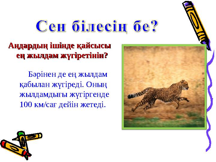 Аңдардың ішінде қайсысы Аңдардың ішінде қайсысы ең жылдам жүгіретінін?ең жылдам жүгіретінін? Бәрінен де ең жылдам қабы