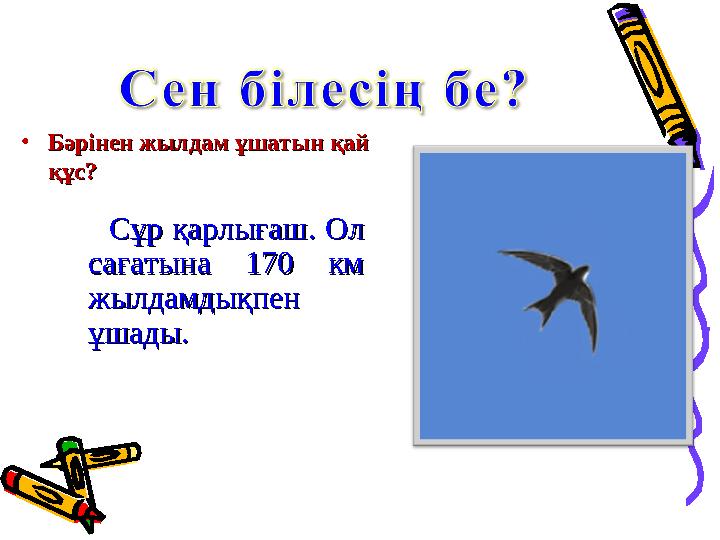•Бәрінен жылдам ұшатын қай Бәрінен жылдам ұшатын қай құс?құс? Сұр қарлығашСұр қарлығаш. Ол . Ол сағатына 170 км сағат