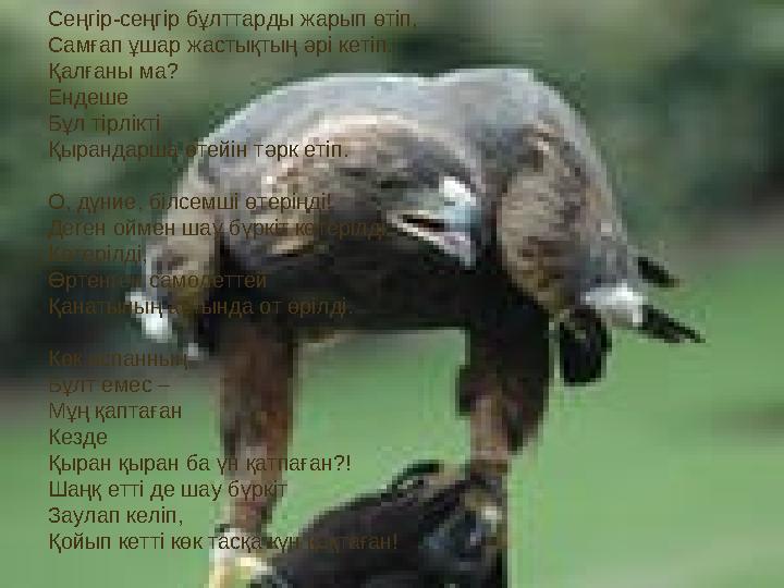 Сеңгір-сеңгір бұлттарды жарып өтіп, Самғап ұшар жастықтың әрі кетіп. Қалғаны ма? Ендеше Бұл тірлікті Қырандарша өтейін тәрк