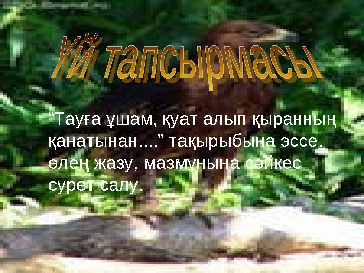 “Тауға ұшам, қуат алып қыранның қанатынан....” тақырыбына эссе, өлең жазу, мазмұнына сәйкес сурет салу.