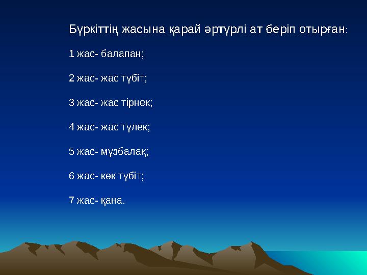 Бүркіттің жасына қарай әртүрлі ат беріп отырған: 1 жас- балапан; 2 жас- жас түбіт; 3 жас- жас тірнек; 4 жас- жас түлек;