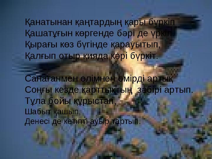 Қанатынан қаңтардың қары бүркіп Қашатұғын көргенде бәрі де үркіп. Қырағы көз бүгінде қарауытып, Қалғып отыр қияда кәрі бүрк