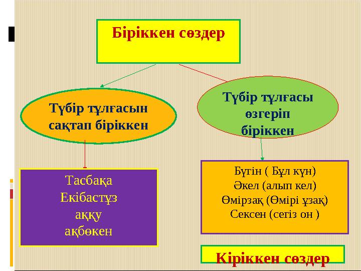 Біріккен сөздер Түбір тұлғасын сақтап біріккен Түбір тұлғасы өзгеріп біріккен Тасбақа Екібастұз аққу ақбөкен Бүгін ( Бұл күн)