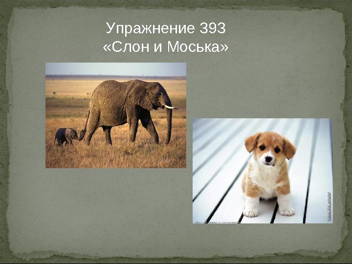 Упражнение 393 «Слон и Моська»