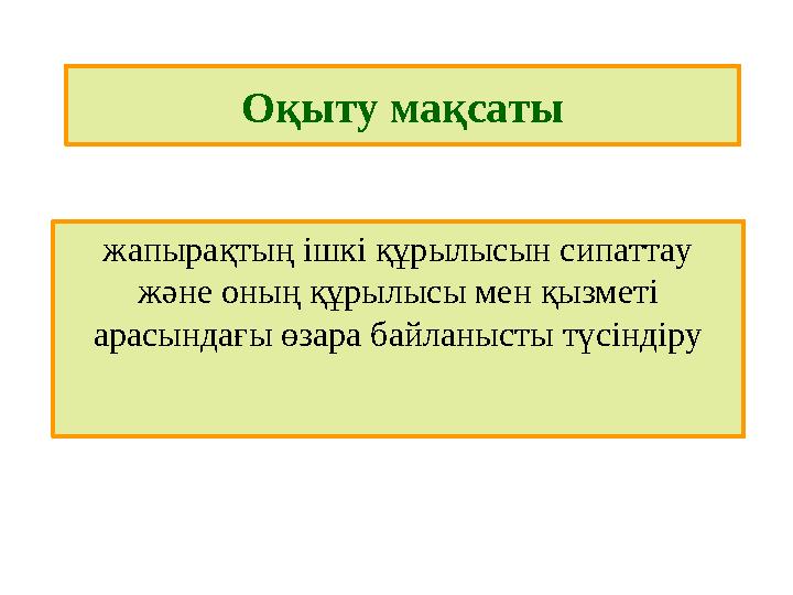 Оқыту мақсаты жапырақтың ішкі құрылысын сипаттау және оның құрылысы мен қызметі арасындағы өзара байланысты түсіндіру