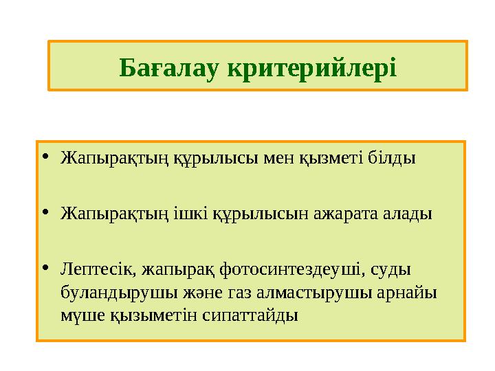 Бағалау критерийлері • Жапырақтың құрылысы мен қызметі білды • Жапырақтың ішкі құрылысын ажарата алады • Лептесік, жапырақ фотос