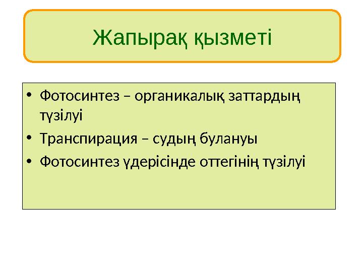 Жапырақ қызметі • Фотосинтез – органикалық заттардың түзілуі • Транспирация – судың булануы • Фотосинтез үдерісінде оттегінің т