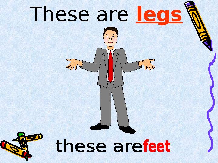 These are legs