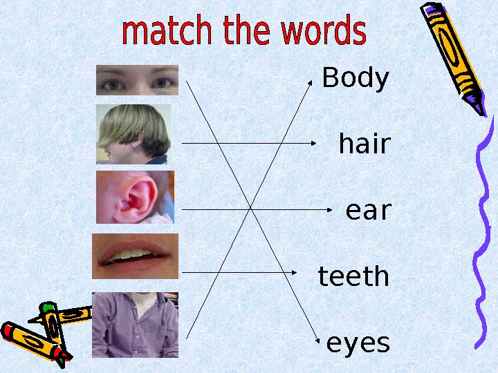 Body hair ear teeth eyes