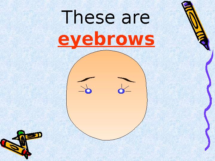 These are eyebrows