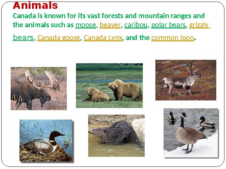 Animals Canada is known for its vast forests and mountain ranges and the animals such as moose , beaver , caribou , polar b