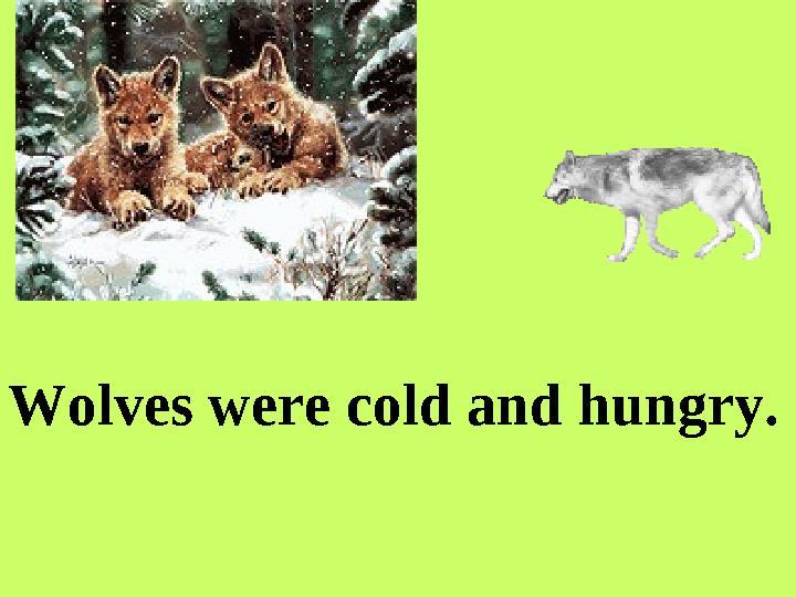 Wolves were cold and hungry.