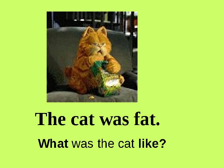 The cat was fat. What was the cat like?