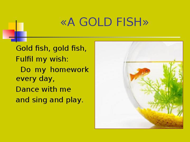 «A GOLD FISH» Gold fish, gold fish, Fulfil my wish: Do my homework every day, Dance