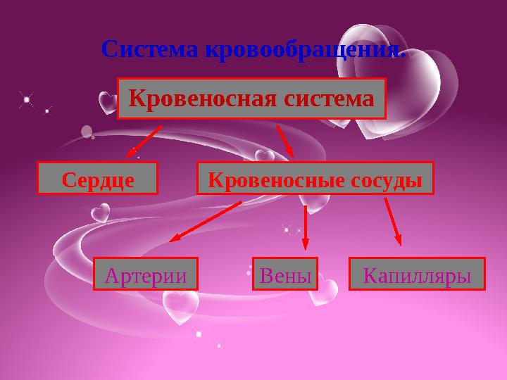 Система кровообращения. Кровеносная система Сердце Кровеносные сосуды Артерии Вены Капилляры