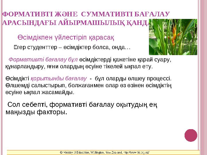 ФОРМАТИВТІ ЖӘНЕ СУММАТИВТІ БАҒАЛАУ АРАСЫНДАҒЫ АЙЫРМАШЫЛЫҚ ҚАНДАЙ ? Егер студенттер – өсімдіктер болса, онда… Формати