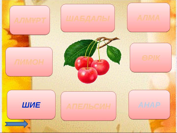 АЛМҰРТ АЛМА ШИЕ ӨРІК ЛИМОН АПЕЛЬСИНШАБДАЛЫ АНАРАЛМҰРТ АЛМА ШИЕ ӨРІК ЛИМОН АПЕЛЬСИН ШАБДАЛЫ АНАР