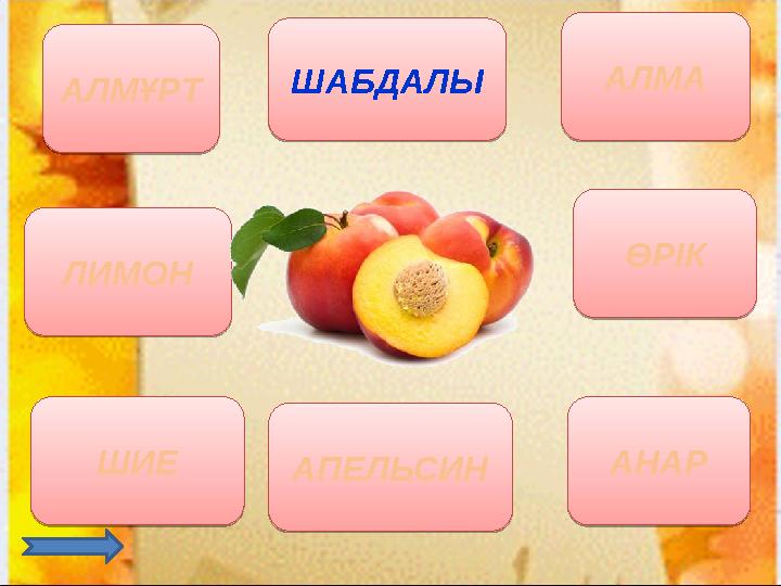 АЛМҰРТ АЛМА ШИЕ ӨРІК ЛИМОН АПЕЛЬСИНШАБДАЛЫ АНАРАЛМҰРТ АЛМА ШИЕ ӨРІК ЛИМОН АПЕЛЬСИН ШАБДАЛЫ АНАР