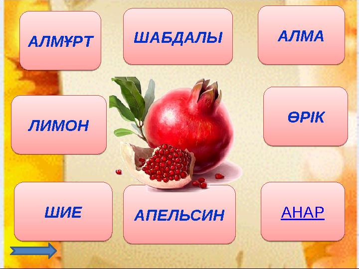 АЛМҰРТ АЛМА ШИЕ ӨРІК ЛИМОН АПЕЛЬСИНШАБДАЛЫ АНАРАЛМҰРТ АЛМА ШИЕ ӨРІК ЛИМОН АПЕЛЬСИН ШАБДАЛЫ АНАР