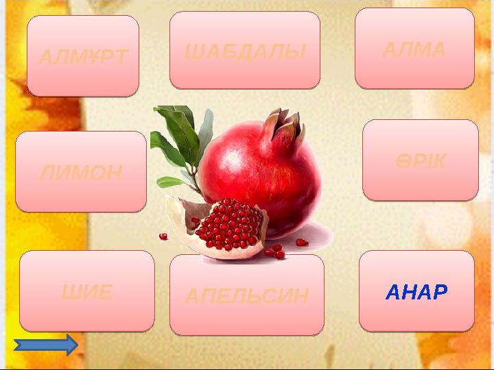 АЛМҰРТ АЛМА ШИЕ ӨРІК ЛИМОН АПЕЛЬСИНШАБДАЛЫ АНАРАЛМҰРТ АЛМА ШИЕ ӨРІК ЛИМОН АПЕЛЬСИН ШАБДАЛЫ АНАР