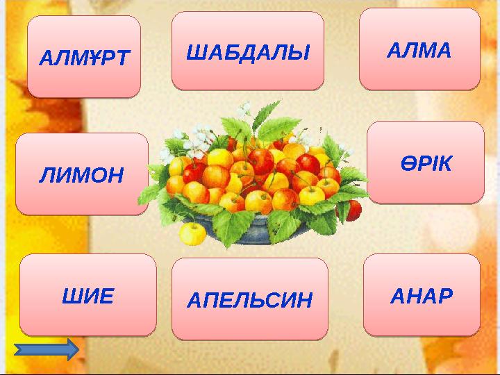 АЛМҰРТ АЛМА ШИЕ ӨРІК ЛИМОН АПЕЛЬСИНШАБДАЛЫ АНАРАЛМҰРТ АЛМА ШИЕ ӨРІК ЛИМОН АПЕЛЬСИН ШАБДАЛЫ АНАР