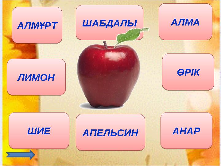 АЛМҰРТ АЛМА ШИЕ ӨРІК ЛИМОН АПЕЛЬСИНШАБДАЛЫ АНАРАЛМҰРТ АЛМА ШИЕ ӨРІК ЛИМОН АПЕЛЬСИН ШАБДАЛЫ АНАР